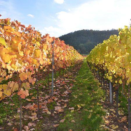 에른스트 Ferienweingut Gansen / Hochgenuss 1 아파트 외부 사진